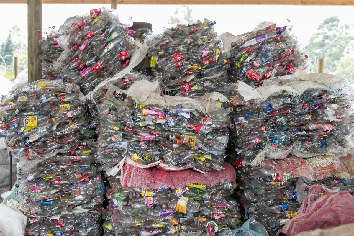 Dia Del Reciclador (64)